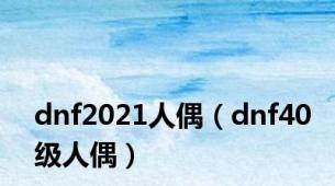 dnf2021人偶（dnf40级人偶）