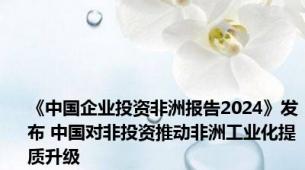 《中国企业投资非洲报告2024》发布 中国对非投资推动非洲工业化提质升级