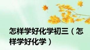 怎样学好化学初三（怎样学好化学）