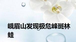 峨眉山发现极危峰斑林蛙