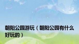 朝阳公园游玩（朝阳公园有什么好玩的）