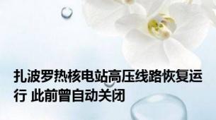 扎波罗热核电站高压线路恢复运行 此前曾自动关闭