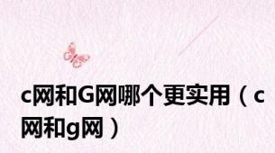 c网和G网哪个更实用（c网和g网）