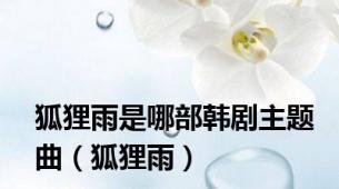 狐狸雨是哪部韩剧主题曲（狐狸雨）