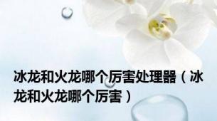冰龙和火龙哪个厉害处理器（冰龙和火龙哪个厉害）