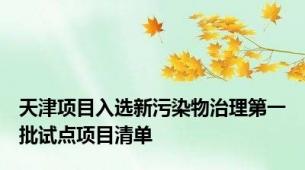 天津项目入选新污染物治理第一批试点项目清单