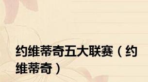 约维蒂奇五大联赛（约维蒂奇）