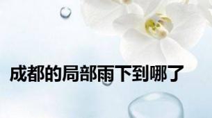 成都的局部雨下到哪了