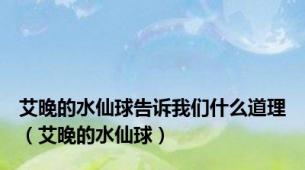 艾晚的水仙球告诉我们什么道理（艾晚的水仙球）