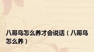 八哥鸟怎么养才会说话（八哥鸟怎么养）