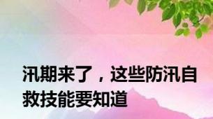 汛期来了，这些防汛自救技能要知道