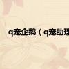 q宠企鹅（q宠助理）