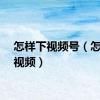 怎样下视频号（怎样下视频）