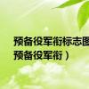 预备役军衔标志图片（预备役军衔）