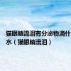 猫眼睛流泪有分泌物滴什么眼药水（猫眼睛流泪）