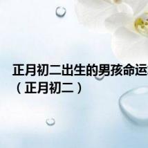 正月初二出生的男孩命运怎么样(正月初二)