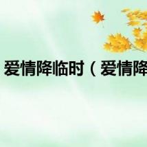 爱情降临时（爱情降临）