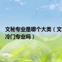 文秘专业是哪个大类（文秘属于冷门专业吗）