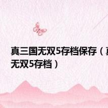 真三国无双5存档保存(真三国无双5存档)
