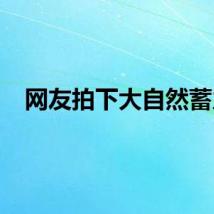 网友拍下大自然蓄力