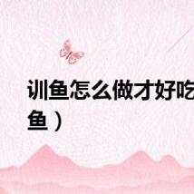 训鱼怎么做才好吃（训鱼）
