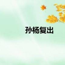 孙杨复出