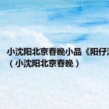小沈阳北京春晚小品《阳仔演笑会》(小沈阳北京春晚)