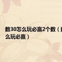 数30怎么玩必赢2个数（数30怎么玩必赢）