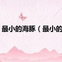 最小的海豚（最小的海）