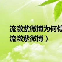 流潋紫微博为何停更(流潋紫微博)