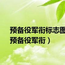 预备役军衔标志图片（预备役军衔）