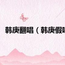 韩庚翻唱（韩庚假唱）