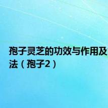 孢子灵芝的功效与作用及食用方法(孢子2)