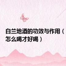 白兰地酒的功效与作用（白兰地怎么喝才好喝）