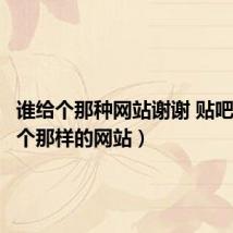 谁给个那种网站谢谢 贴吧(谁给个那样的网站)