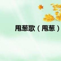 甩葱歌（甩葱）