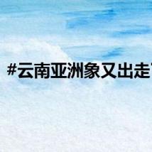 #云南亚洲象又出走了#