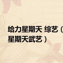 给力星期天 综艺（给力星期天武艺）