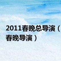 2011春晚总导演（2011春晚导演）