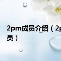 2pm成员介绍(2pm成员)