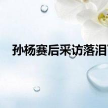 孙杨赛后采访落泪了