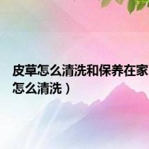 皮草怎么清洗和保养在家（皮草怎么清洗）