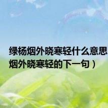 绿杨烟外晓寒轻什么意思（绿杨烟外晓寒轻的下一句）