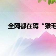 全网都在薅“猴毛”