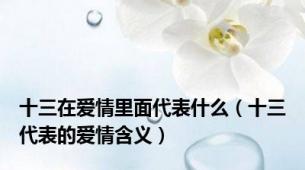 十三在爱情里面代表什么（十三代表的爱情含义）