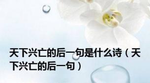 天下兴亡的后一句是什么诗（天下兴亡的后一句）