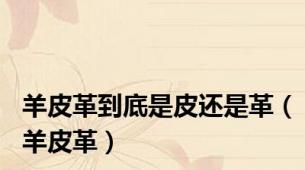 羊皮革到底是皮还是革（羊皮革）