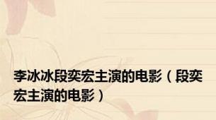 李冰冰段奕宏主演的电影（段奕宏主演的电影）