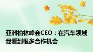 亚洲柏林峰会CEO：在汽车领域我看到很多合作机会