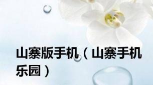 山寨版手机（山寨手机乐园）